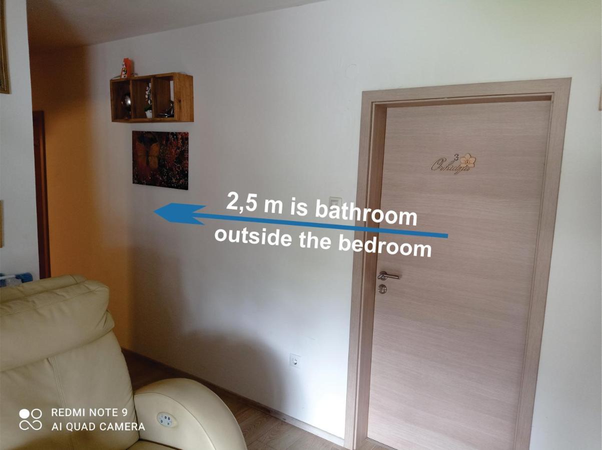 Apartments Lake Bohinj Medja Ngoại thất bức ảnh